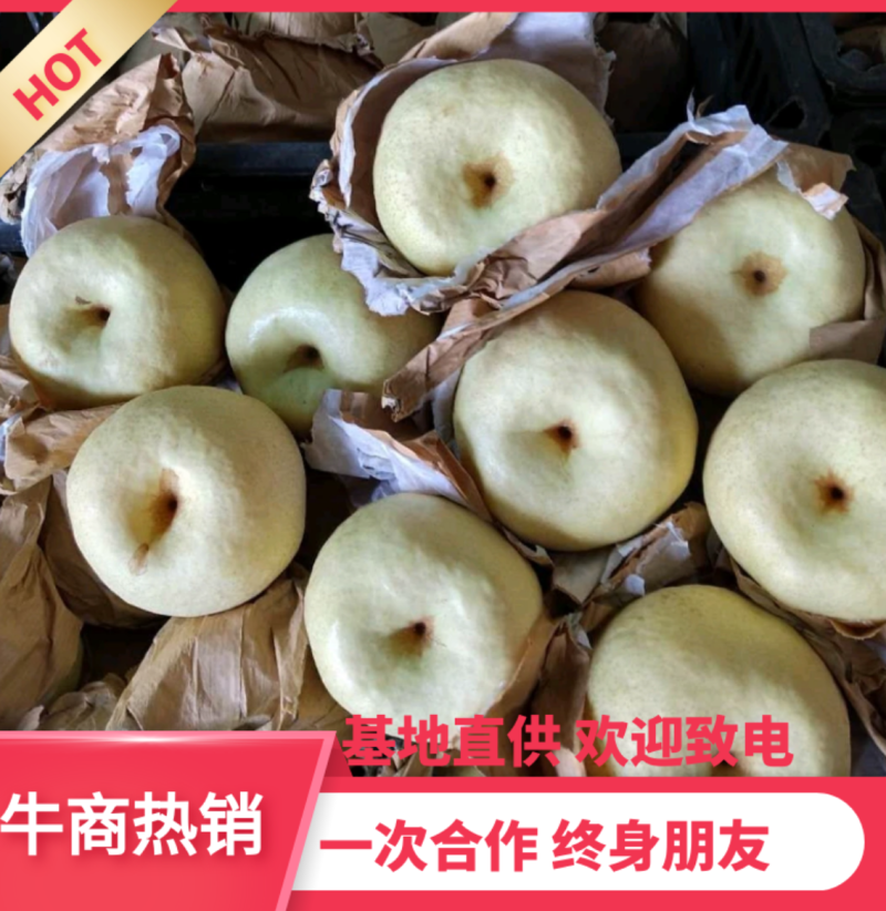蒲城酥梨/蒲城县酥梨/皮薄多汁/脆甜/货源充足/对接各大平台