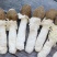 黑帽贵州野生竹笙口感好