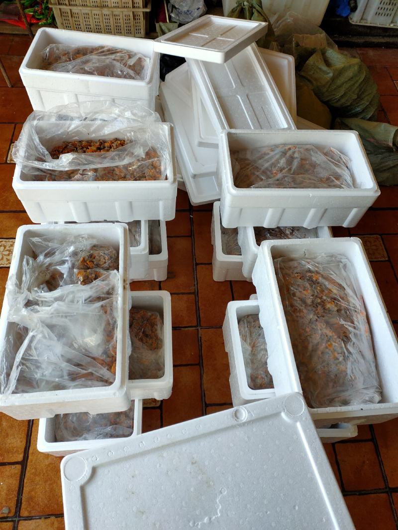 赤贝肉毛蚬肉原汁毛蚶肉东港当地鲜货现加工支持线上线下交易