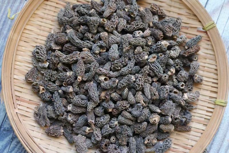 野生羊肚菌1cm食用菌