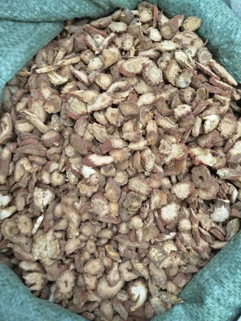 药都亳州供应丹参苗饮片个子，丹参苗种植技术指导包回收回收