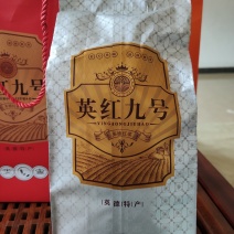 英红九号无污染绿色有机英德红茶