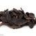 玄参大量供应，种植技术指导包回收，
