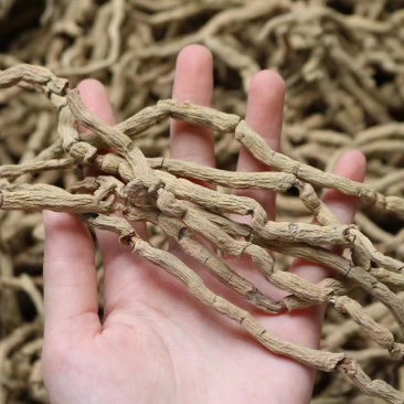 巴戟性价比高没有碎实惠