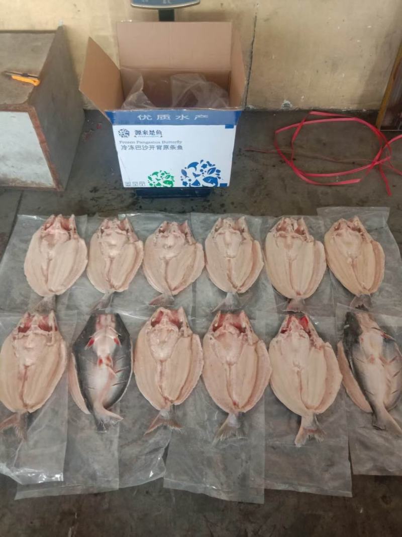 海之优贸易“源来是鱼”巴沙鱼全系列