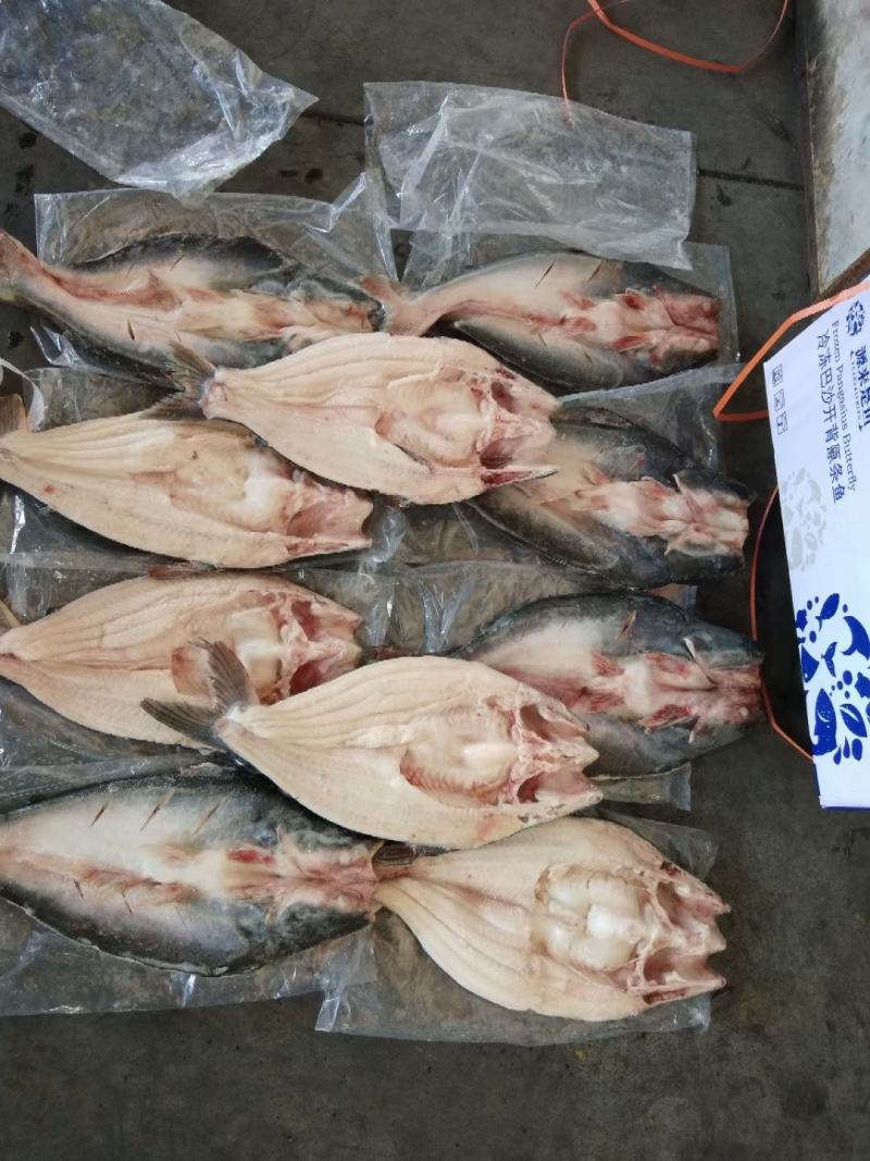 海之优贸易“源来是鱼”巴沙鱼全系列