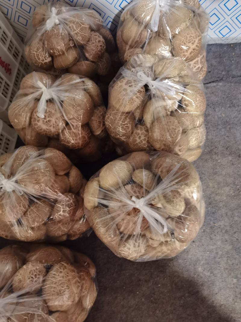 【优质香菇】鲜香菇上市菌类，冬菇，电超专供
