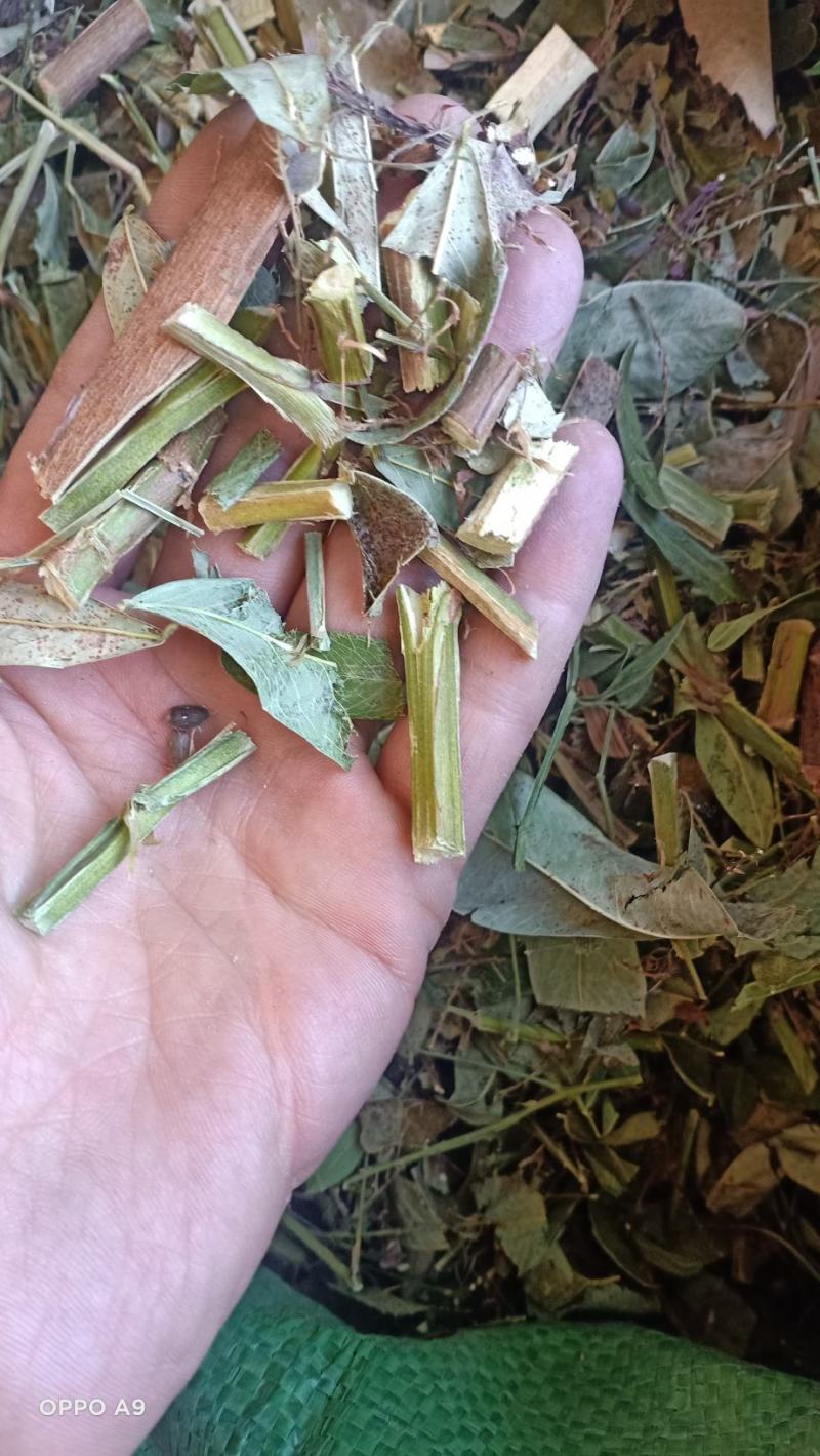 打石草三方草云南地产货颜色好有大货