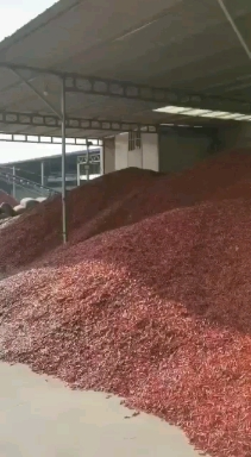 新一代，三英子弹干辣椒，辣椒面，辣椒段，可加工各种规格。