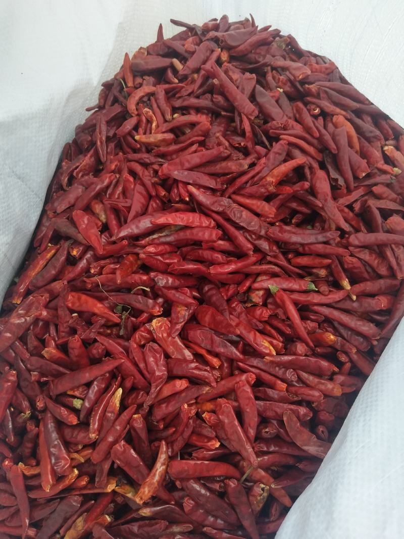 新一代，三英子弹干辣椒，辣椒面，辣椒段，可加工各种规格。