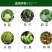 科迪华艾绿士乙基多杀霉素卷叶螟蓟马菜青虫杀虫剂