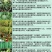 科迪华艾绿士乙基多杀霉素卷叶螟蓟马菜青虫杀虫剂