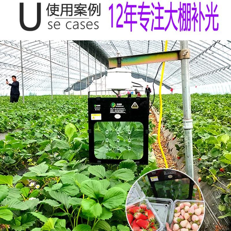植物补光灯大棚补光灯植物生长灯葡萄樱桃蓝莓补光灯