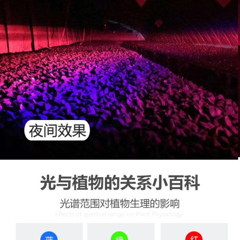 植物补光灯大棚补光灯植物生长灯葡萄樱桃蓝莓补光灯