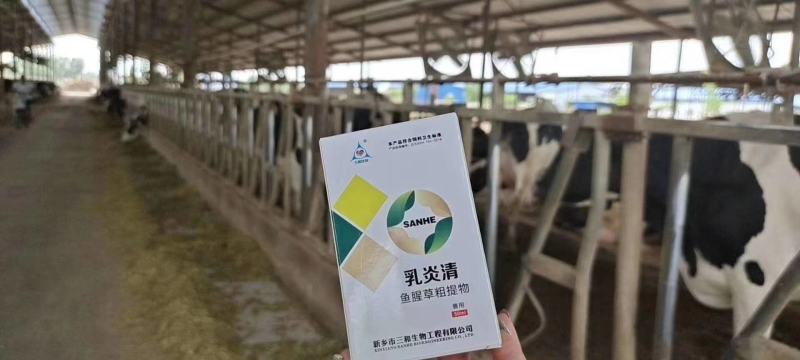 各种急慢性乳房炎，就用乳炎清。鱼腥草提取物纯中药