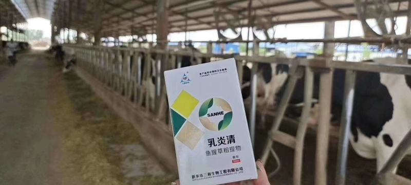 各种急慢性乳房炎，就用乳炎清。鱼腥草提取物纯中药