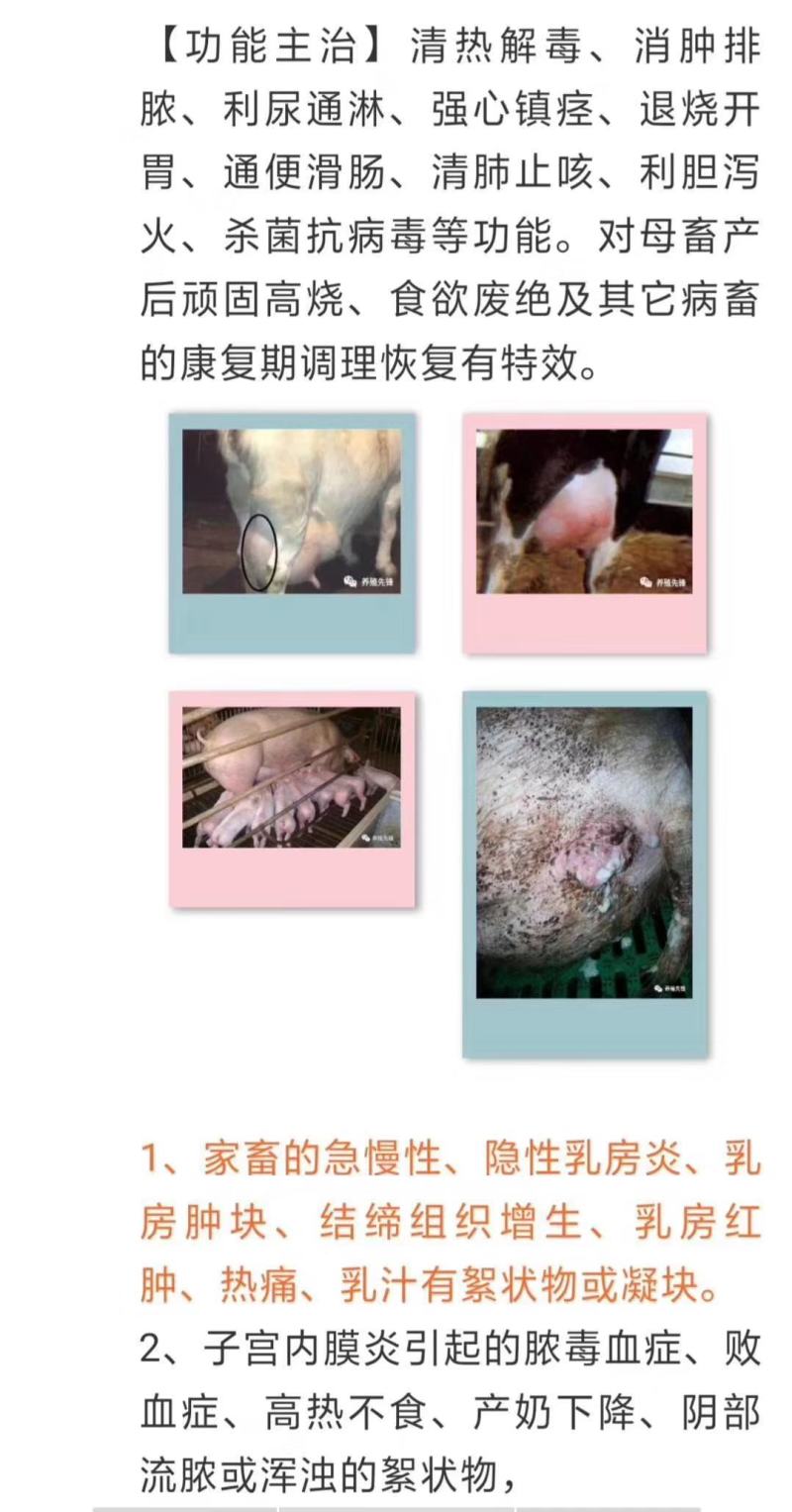 各种急慢性乳房炎，就用乳炎清。鱼腥草提取物纯中药
