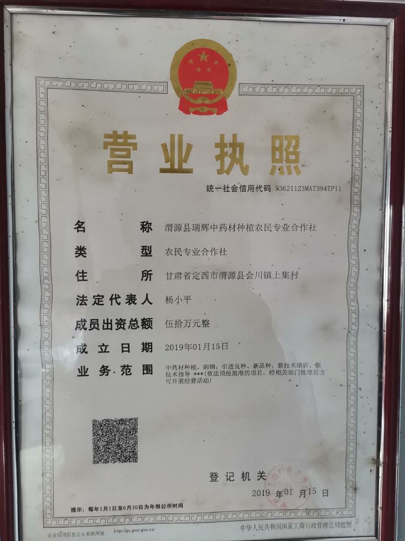 新货无硫当归归腿节子片【甘肃特产】当归腿切片中药当归藤