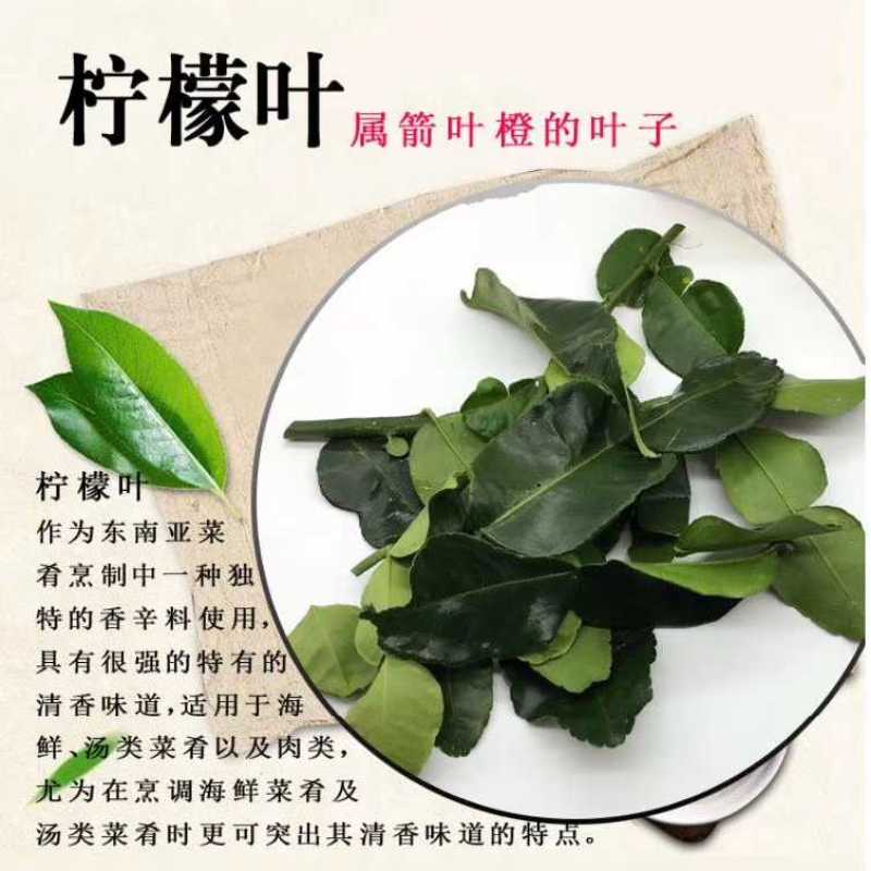 泰国粗皮柠檬丑柠檬苗叶子8字形状可作为煲汤食材适合南北方