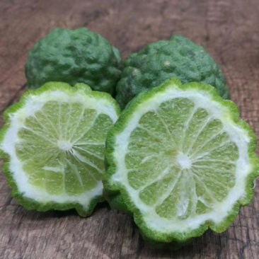 泰国粗皮柠檬丑柠檬苗叶子8字形状可作为煲汤食材适合南北方