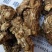 甘肃无硫当归头，大量供货，产地直供，油脂高，品质好，量大