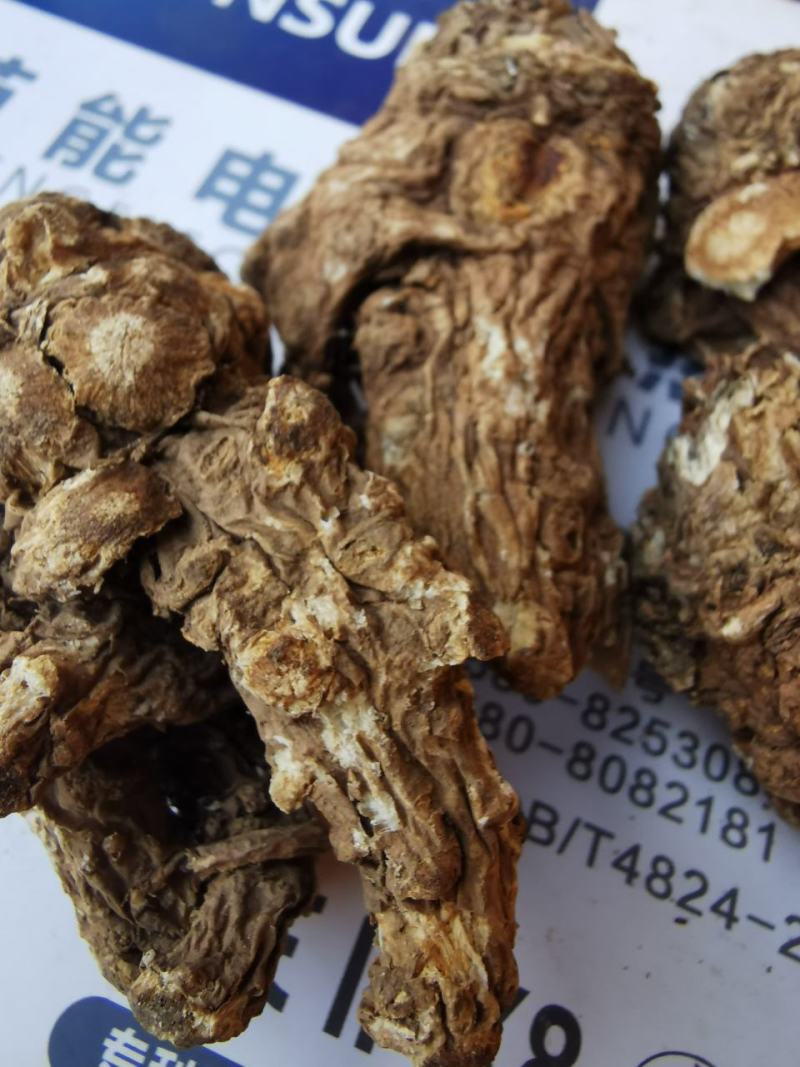 甘肃无硫当归头，大量供货，产地直供，油脂高，品质好，量大