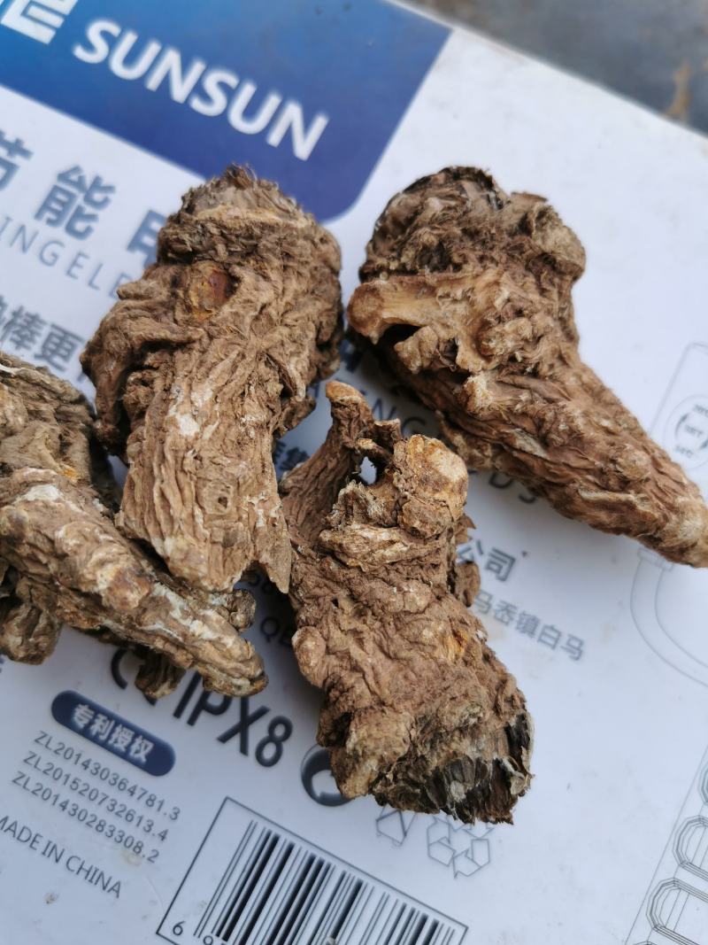 甘肃无硫当归头，大量供货，产地直供，油脂高，品质好，量大