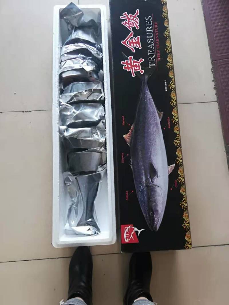黄金鲅鱼，深海鱼，（冻货）一条12斤到20斤左右