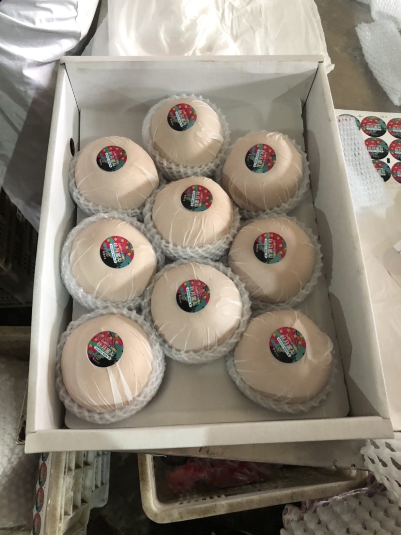 莱西南水梨口感好脆甜原料量大全国发货对接商超档口