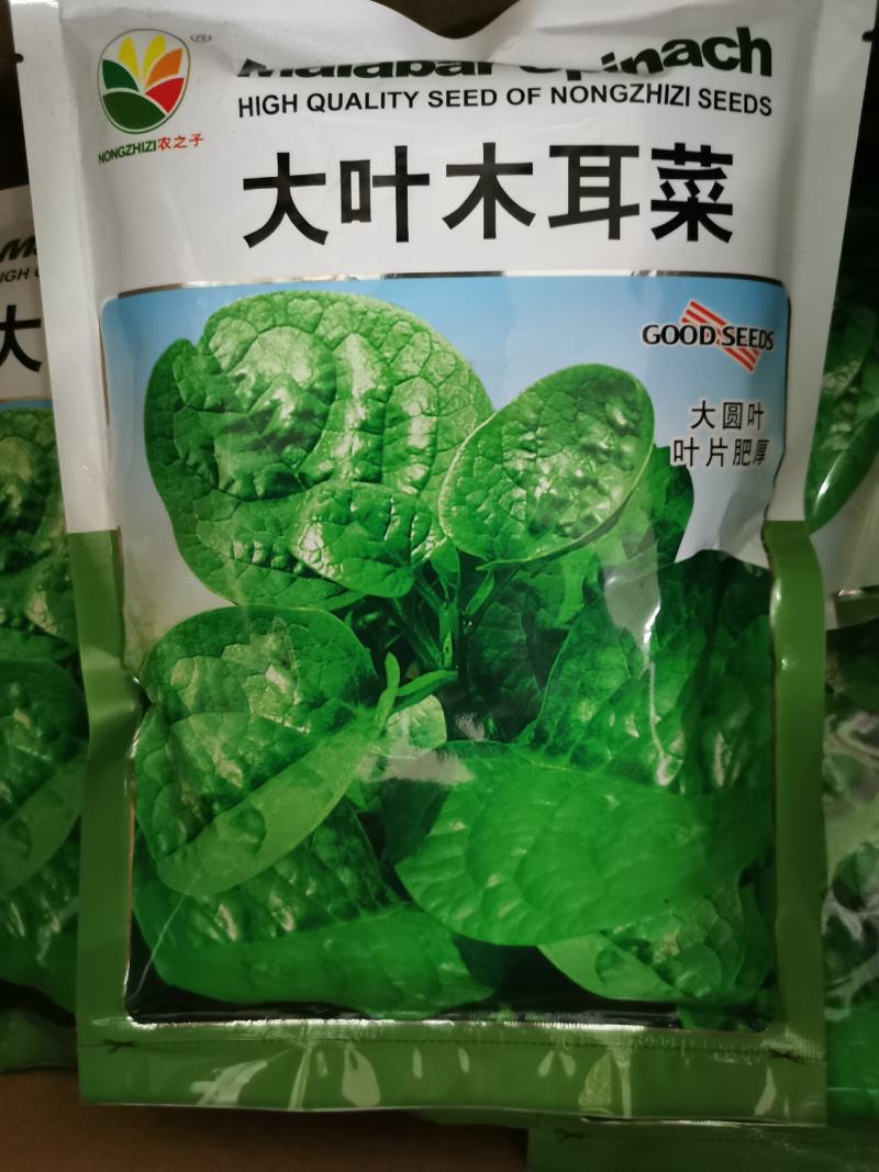 大叶木耳菜种籽高产耐寒耐抽苔木耳菜种500克