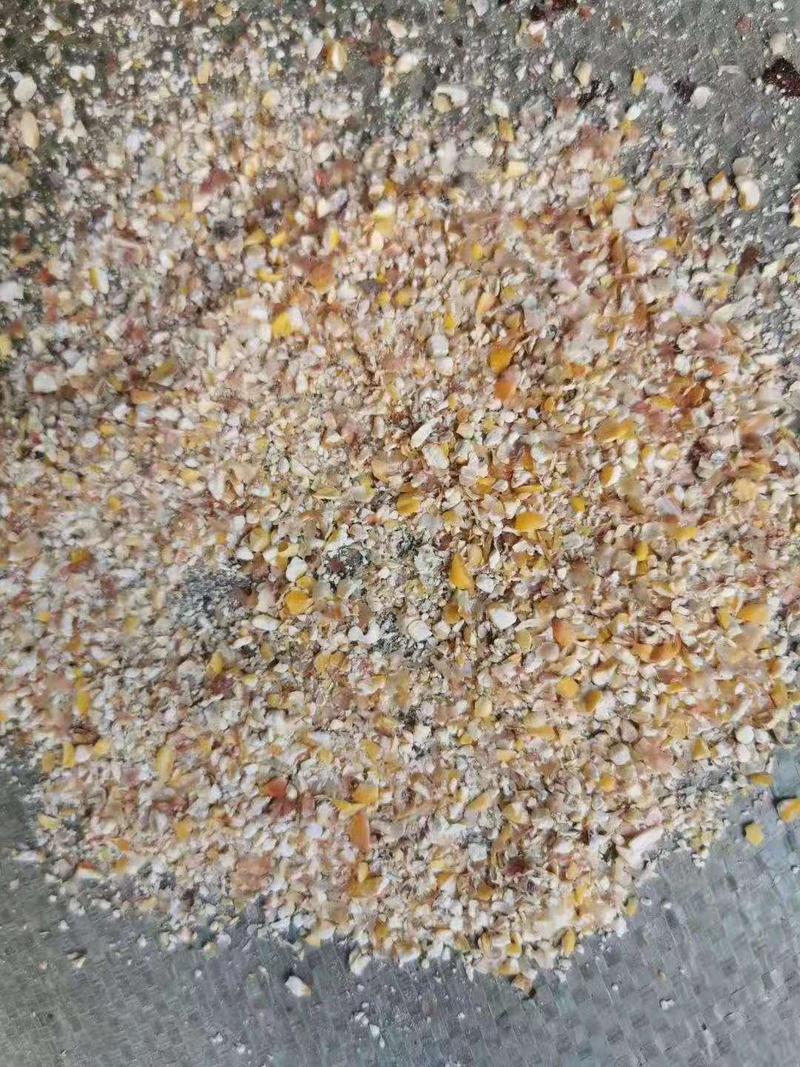 厂家直销批发烘干碎玉米无土无沙饲料原料鸡鸭鹅