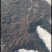 大山里的野生黑蚂蚁，货量充足，无杂质，干度好额，