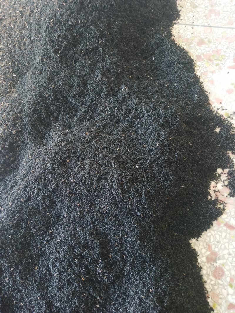大山里的野生黑蚂蚁，货量充足，无杂质，干度好额，