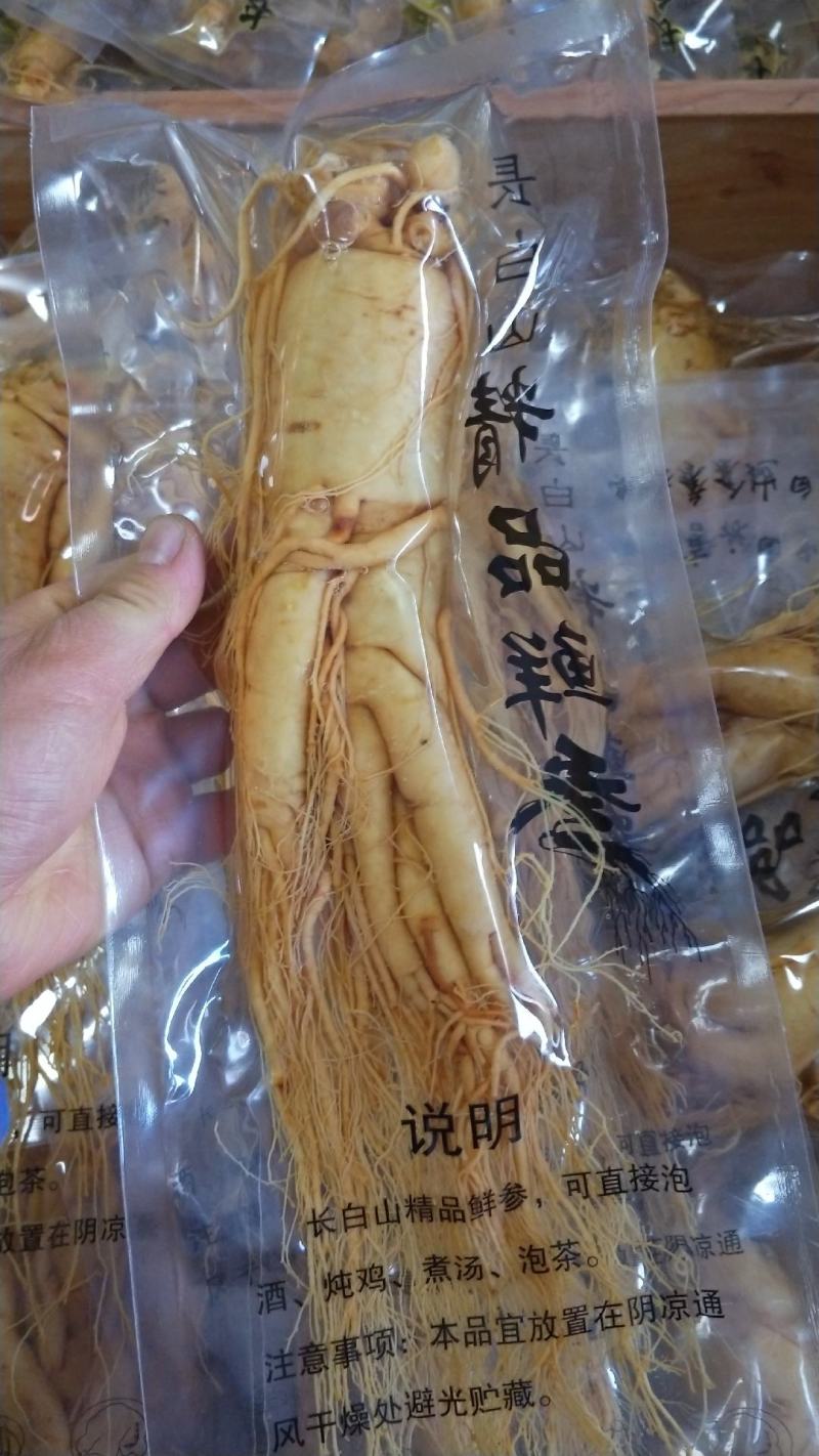 精选8年优质人参6~7两[送礼自用佳品]大量批发