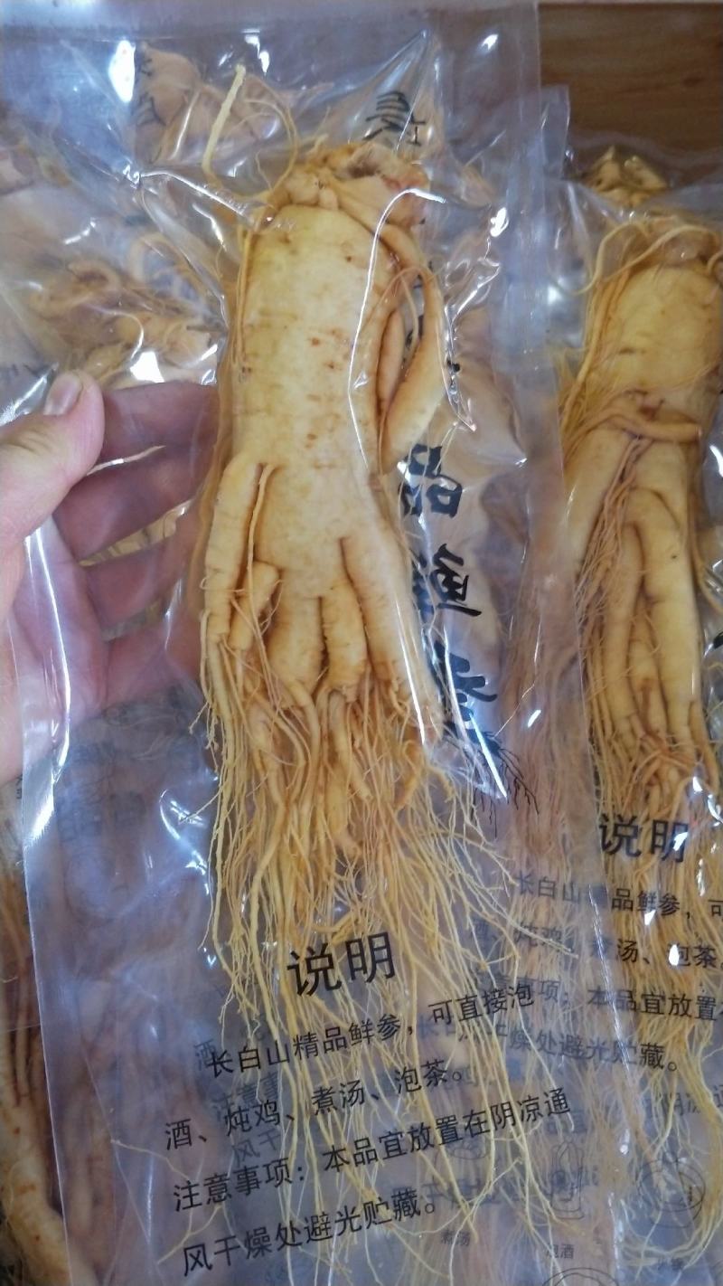 精选8年优质人参6~7两[送礼自用佳品]大量批发