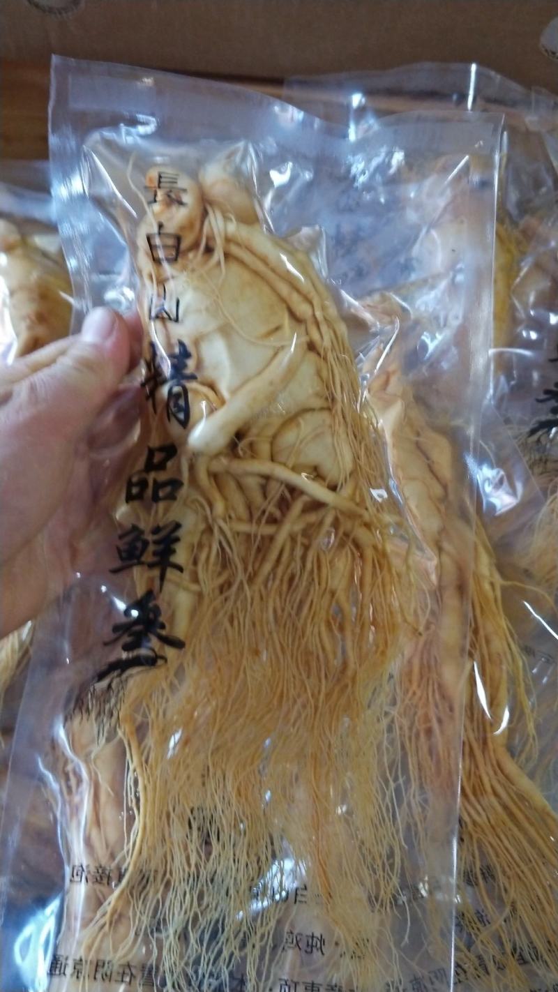 精选8年优质人参6~7两[送礼自用佳品]大量批发