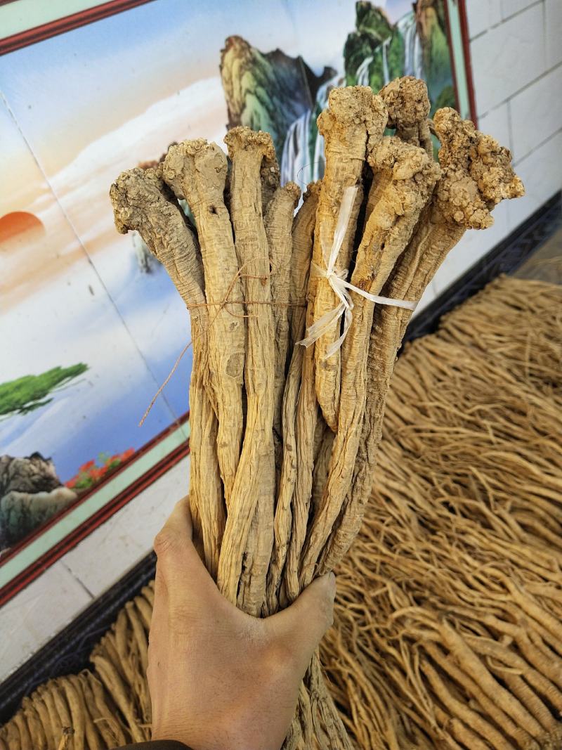 野生特大条，欢迎各位老板下单。