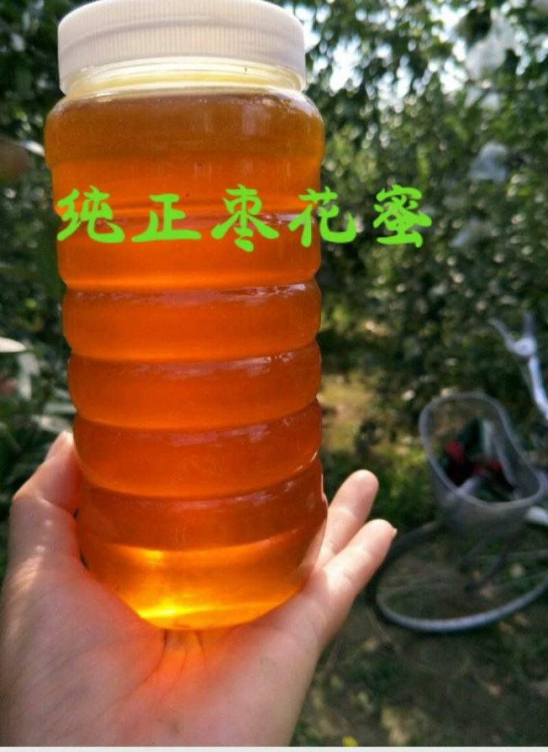 枣花蜜纯正品产自深山野生农家自产自销一件代发