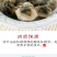 湛江特产生蚝肉干新鲜生晒蚝肉干包邮