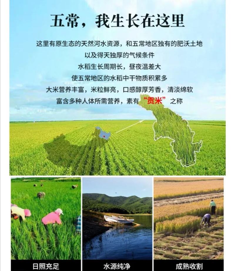 新米上市！黑龙江东北五常原粮稻花香2号大米精装礼盒5kg