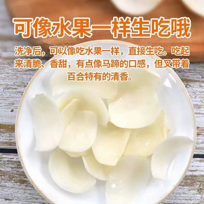 产地直销，兰州鲜百合【特级】，清脆，香甜，大量供应