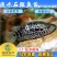 【淡水养殖】淡水珍珠石斑鱼苗龙胆石斑鱼苗花斑鱼苗