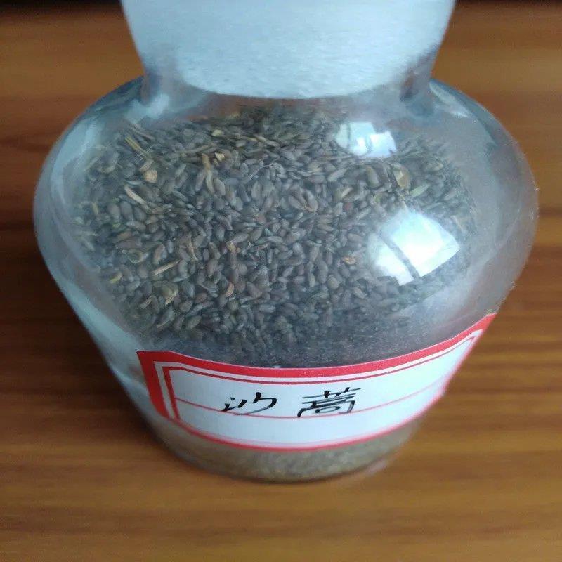 优质野生沙蒿籽沙蒿子沙蒿种子固沙牧草种植食用生态水保植物