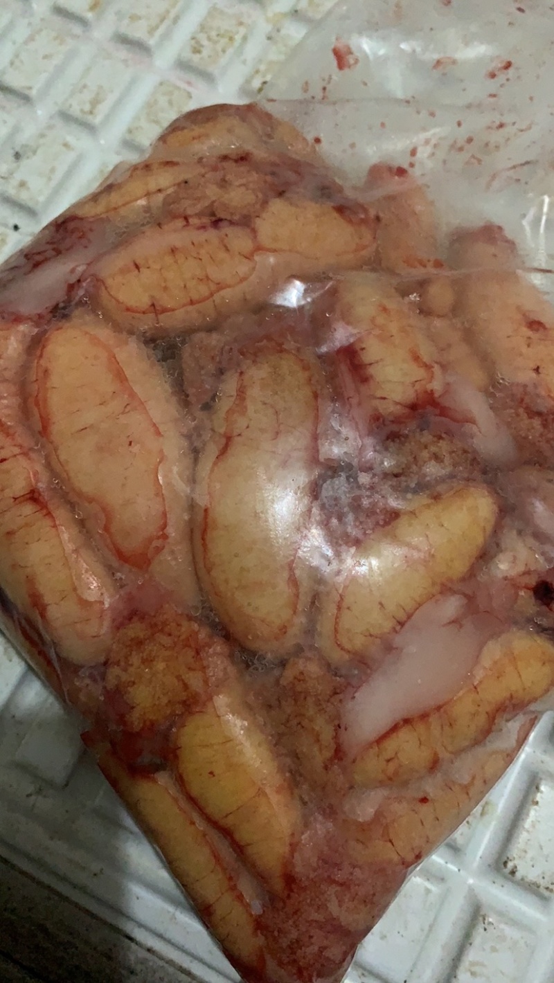 鲤鱼籽，冻货，新鲜的冻起来