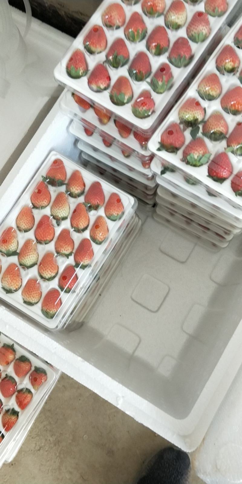 冬天*莓*你没快乐你爱我，我爱你