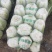 精品矮颗黄心白菜，产地直供，代发全国，质量漂亮。