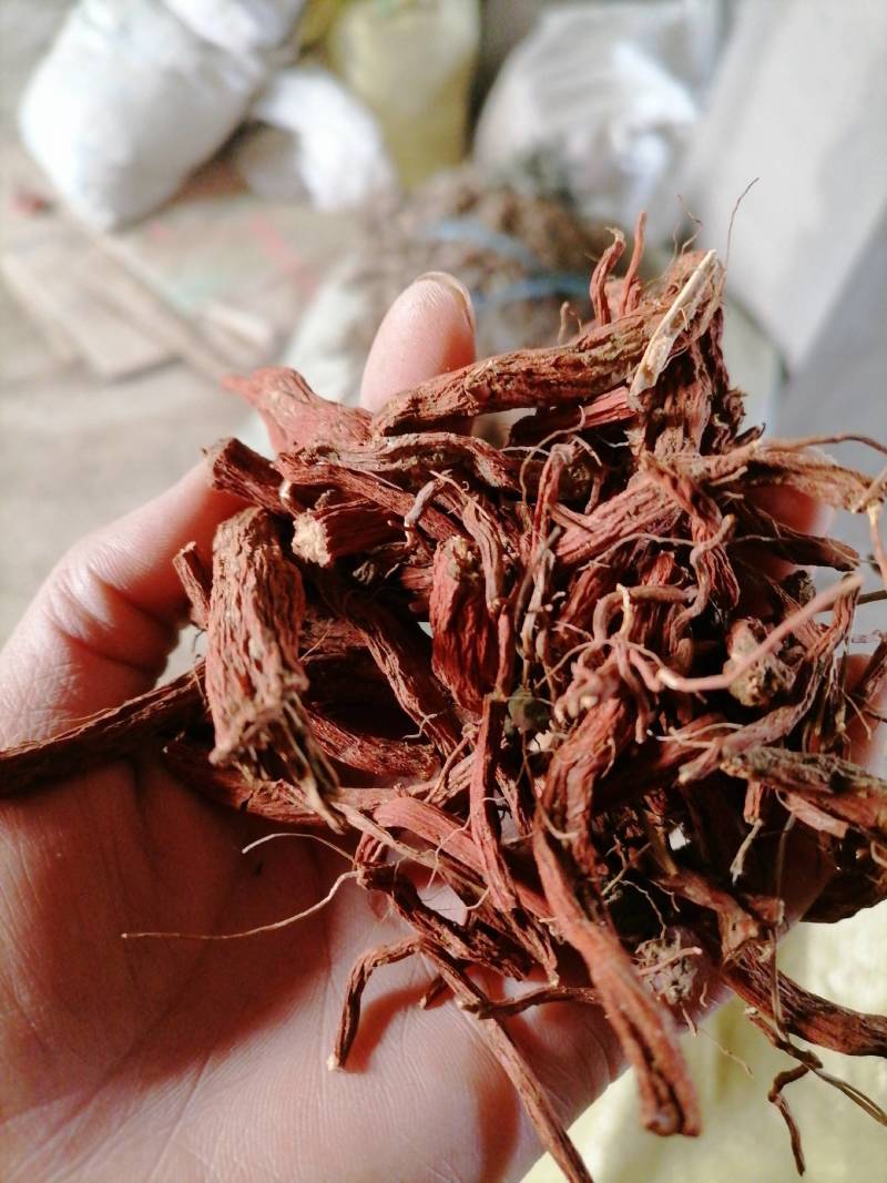 野生无硫丹参参片货好才是真好质量才是我的目标