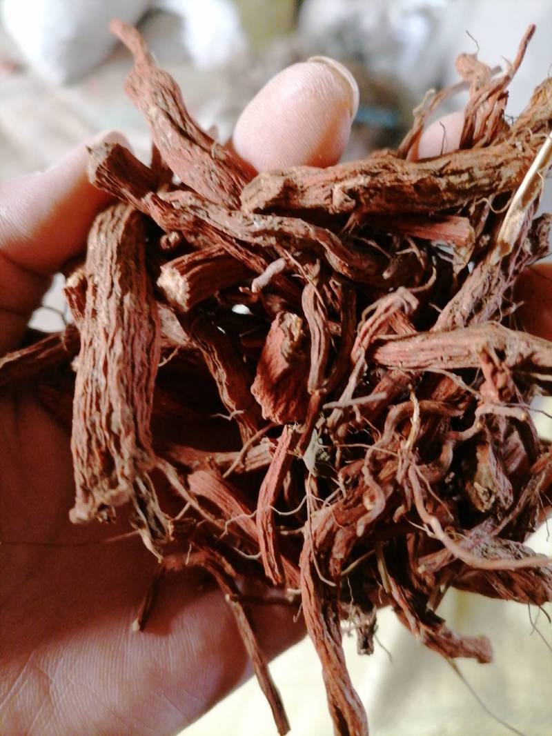 野生无硫丹参参片货好才是真好质量才是我的目标