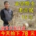 甘肃岷县原产地黄芪节子规格齐全都是精品，黄芪条