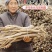 甘肃岷县原产地黄芪节子规格齐全都是精品，黄芪条